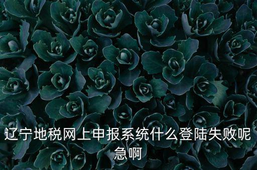 遼寧網(wǎng)上報稅為什么進不去，遼寧地稅網(wǎng)上申報系統(tǒng)什么登陸失敗呢急啊