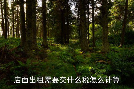 商鋪出租房屋交什么稅，商鋪出租應(yīng)交哪些稅