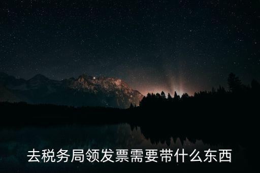 去稅務局領(lǐng)發(fā)票需要帶什么東西