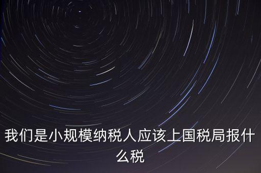 小規(guī)模要報什么稅，我想問問小規(guī)模納稅人報稅需要報些什么
