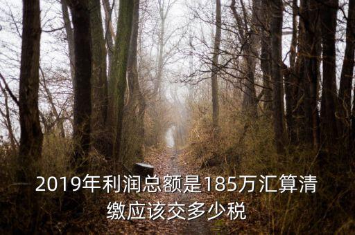 匯算清繳交什么稅，年度匯算清繳應(yīng)交稅率是多少