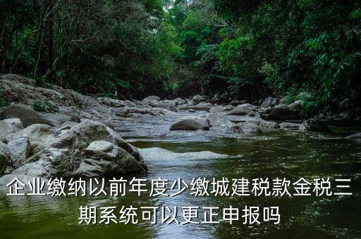 金稅三期更正申報需要什么資料，企業(yè)繳納以前年度少繳城建稅款金稅三期系統(tǒng)可以更正申報嗎