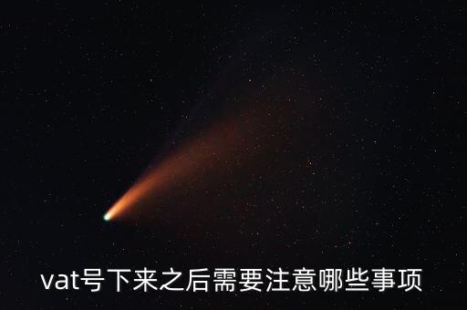 vat號(hào)下來(lái)之后需要注意哪些事項(xiàng)