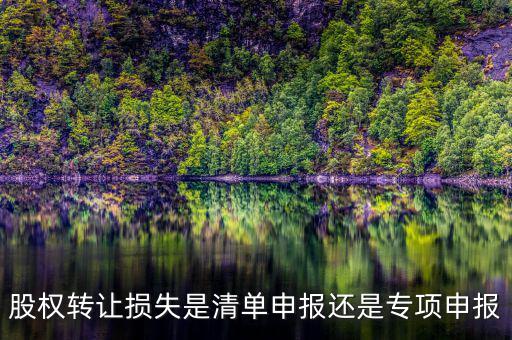 股權(quán)轉(zhuǎn)讓損失是清單申報(bào)還是專項(xiàng)申報(bào)