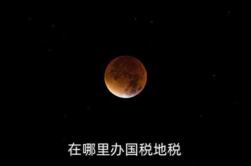 什么在地稅辦，在哪里辦國稅地稅