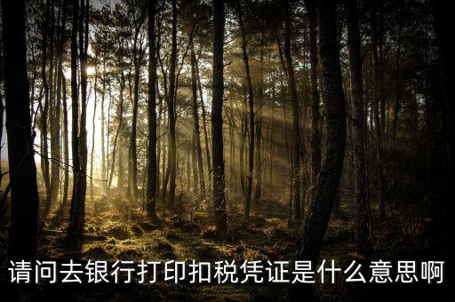 稅收憑證是什么，什么是完稅憑證啊