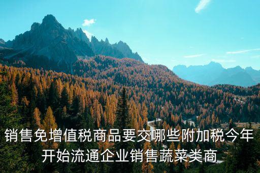 免稅商品銷售要交什么稅，銷售免增值稅商品要交哪些附加稅今年開始流通企業(yè)銷售蔬菜類商