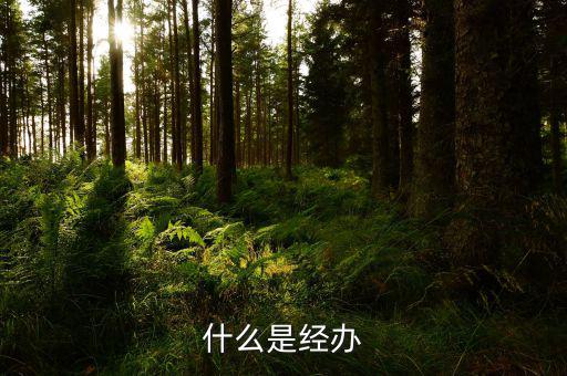 稅務(wù)文書經(jīng)辦是什么意思，什么是經(jīng)辦