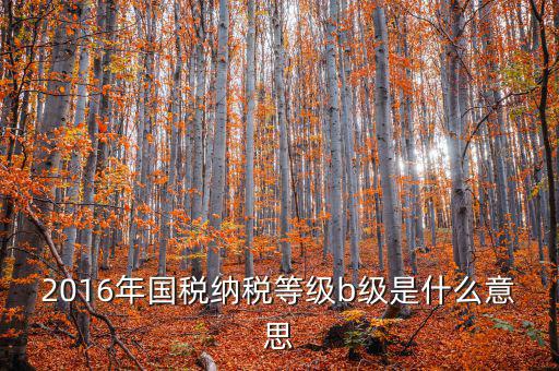 納稅信用等級評 什么用，企業(yè)納稅信用等級有何用處