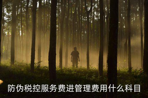 防偽稅控服務(wù)費是什么意思，繳納電子鑰匙的年費是防偽稅控服務(wù)費嗎