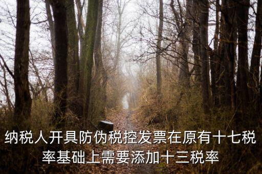 金稅卡加稅率有什么，金稅盤(pán)稅額問(wèn)題