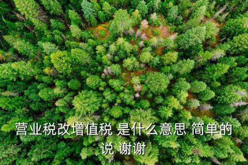 什么叫增值稅修正稅負(fù)，增值稅修正稅負(fù)是什么意思