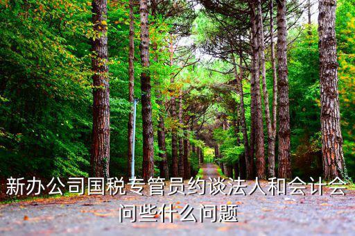 國稅局約談法人問什么，新辦公司國稅專管員約談法人和會(huì)計(jì)會(huì)問些什么問題