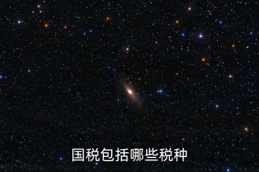 國(guó)稅包括哪些稅種