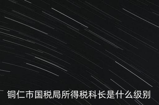 地稅局股長是什么級別，地稅里的職位 股長是什么級別