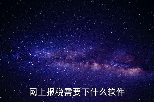 報國稅都安裝什么軟件，網上報稅需要下什么軟件