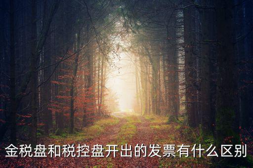 金稅盤和稅控盤是什么，金稅盤和稅控盤開出的發(fā)票有什么區(qū)別