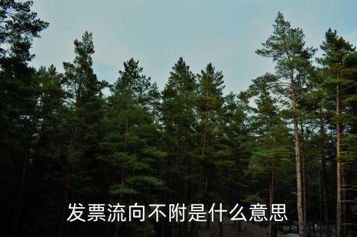 什么是流向票，發(fā)票流向不附是什么意思