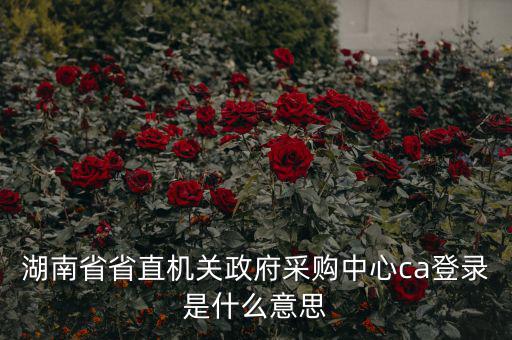 湖南省省直機(jī)關(guān)政府采購中心ca登錄是什么意思