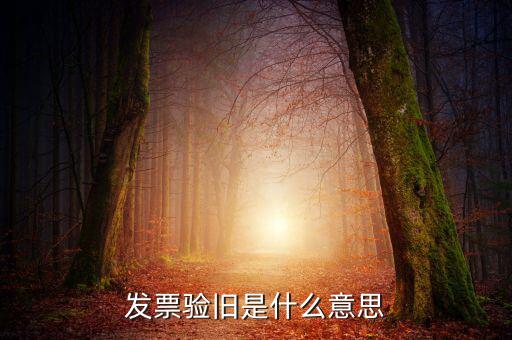 增值稅驗舊是什么意思，發(fā)票驗證時提示舊系統(tǒng)已驗舊是什么意思