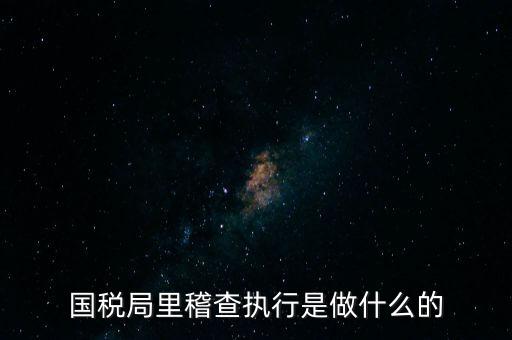 國稅局專案稽查查什么，稅局稽查會查些什么怎么應(yīng)對