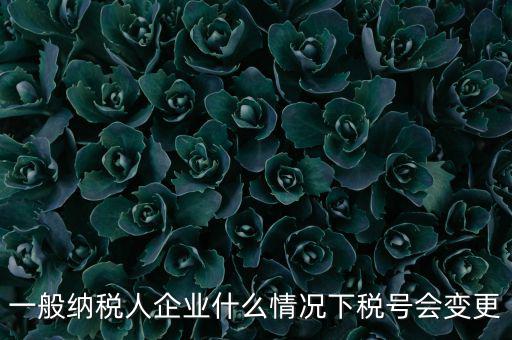 一般納稅人企業(yè)什么情況下稅號會(huì)變更