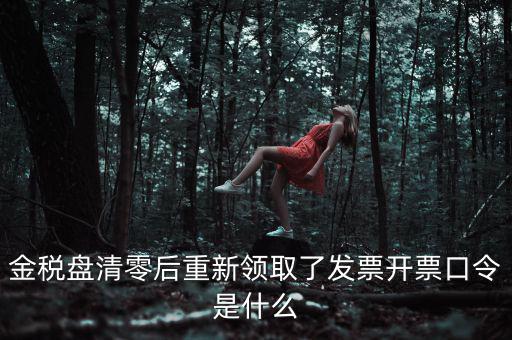 金稅盤清零后重新領(lǐng)取了發(fā)票開(kāi)票口令是什么