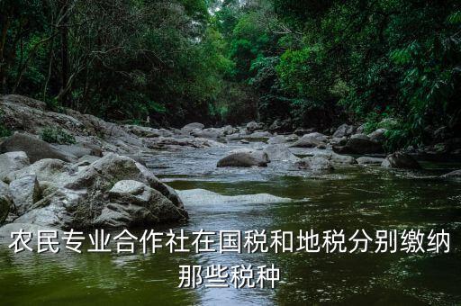 稅務(wù)局向合作社收取什么稅，農(nóng)民專業(yè)合作社在國稅和地稅分別繳納那些稅種