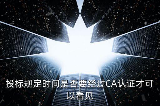 什么情況下需要ca證書，投標(biāo)規(guī)定時間是否要經(jīng)過CA認(rèn)證才可以看見