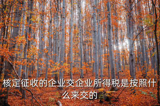 核定稅稅率是按照什么作參照的，稅率按照哪個(gè)來(lái)定