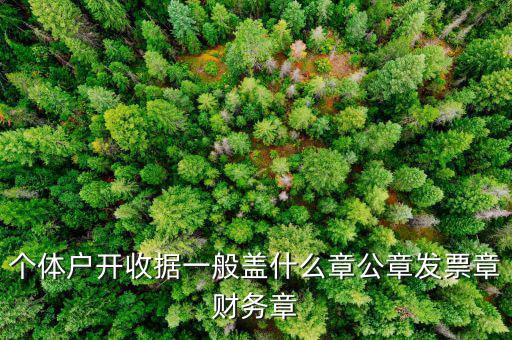 個體戶的定額發(fā)票蓋什么章，個體戶的定額發(fā)票上蓋的個體戶章能用嗎
