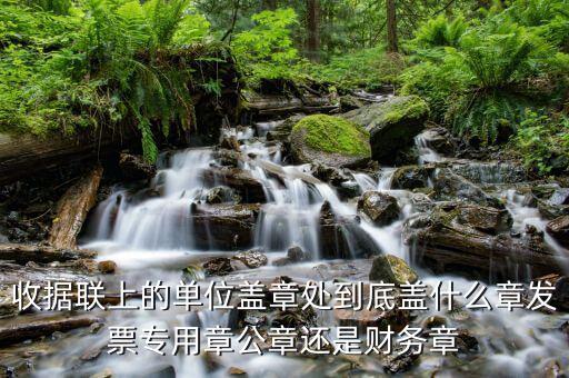 收據(jù)上面蓋什么章，收款收據(jù)上蓋什么章是財務章還是公章