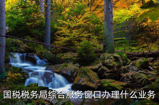 國稅大廳辦理什么業(yè)務(wù)，辦稅大廳都做些什么事