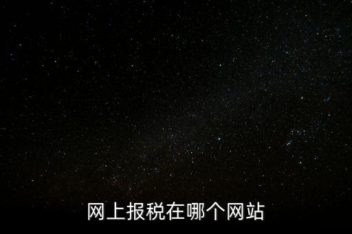 廣西網(wǎng)上辦稅的網(wǎng)址是什么意思，網(wǎng)上報(bào)稅在哪個(gè)網(wǎng)站