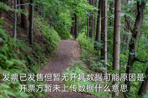 百旺的開(kāi)票未上傳是什么意思，發(fā)票已發(fā)售但暫無(wú)開(kāi)具數(shù)據(jù)可能原因是開(kāi)票方暫未上傳數(shù)據(jù)什么意思