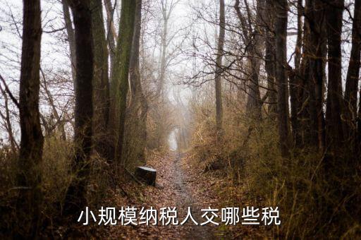 小規(guī)模都交什么稅，小規(guī)模納稅人要交什么稅