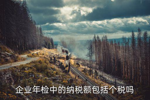 企業(yè)年報報的是什么稅，報告年度所得稅什么意思
