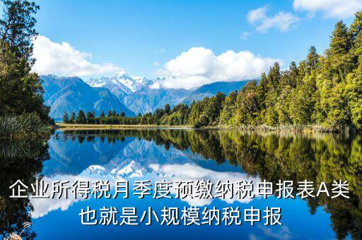 福建預繳申請表什么格式，企業(yè)所得稅月季度預繳納稅申報表A類也就是小規(guī)模納稅申報