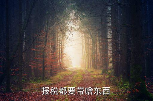 大連國稅局報稅帶什么東西，報稅都要帶啥東西