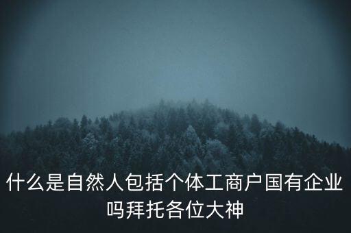 什么是稅務(wù)中的自然人，會(huì)計(jì)中自然人所指的是那種人