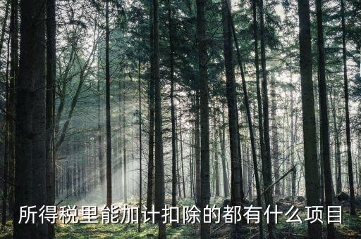什么企業(yè)加計扣除，人員工資加計扣除政策是什么意思