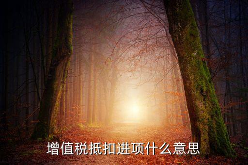 進項抵扣是什么意思，增值稅抵扣進項什么意思