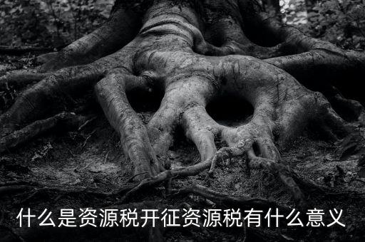 為什么開證資源稅，什么是資源稅開征資源稅有什么意義