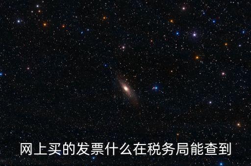 網(wǎng)上買的發(fā)票什么在稅務局能查到