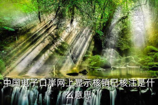 為什么核銷報驗，中國電子口岸網(wǎng)上顯示核銷已核注是什么意思