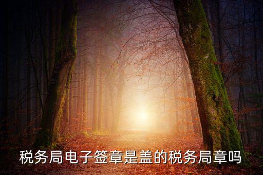 稅務(wù)局電子簽章是什么，在國稅系統(tǒng)電子簽章時為什么不是每次都提示輸入口令