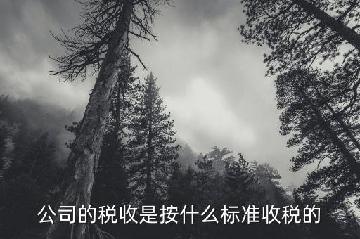 公司按什么標(biāo)準(zhǔn)納稅，公司的稅收是按什么標(biāo)準(zhǔn)收稅的