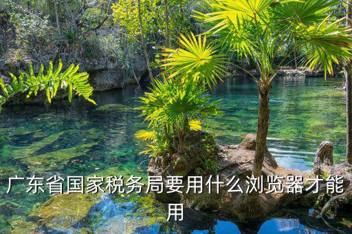 報稅要什么瀏覽器，山東國稅網(wǎng)上申報系統(tǒng)需要什么瀏覽器