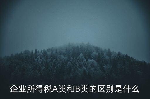 企業(yè)所得稅b類是什么意思，企業(yè)所得稅A類和B類的區(qū)別是什么