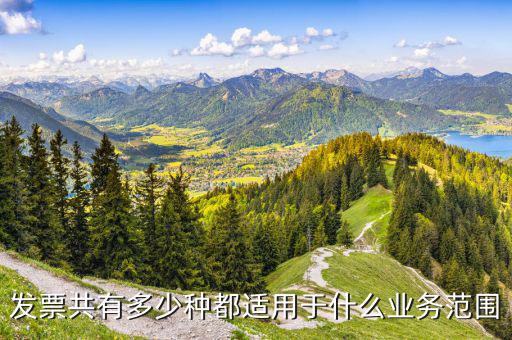 什么業(yè)務(wù)應(yīng)該專業(yè)發(fā)票，單位收費開票1定要專業(yè)的